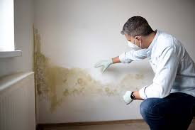 Best Asbestos and Lead Testing During Mold Inspection  in Cleveland, OH